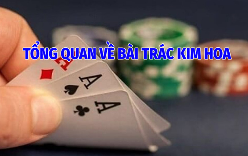 Tổng Quan Về Bài Trác Kim Hoa 123b 